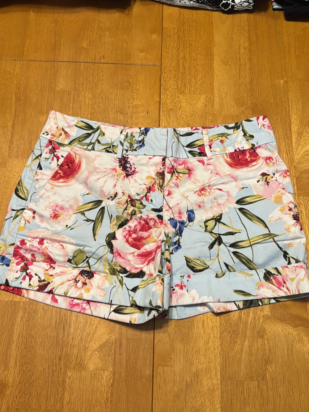 Floral Print Light Blue Women's Shorts